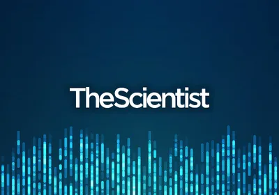 Epigenetic Influences and Mechanisms in Cancer